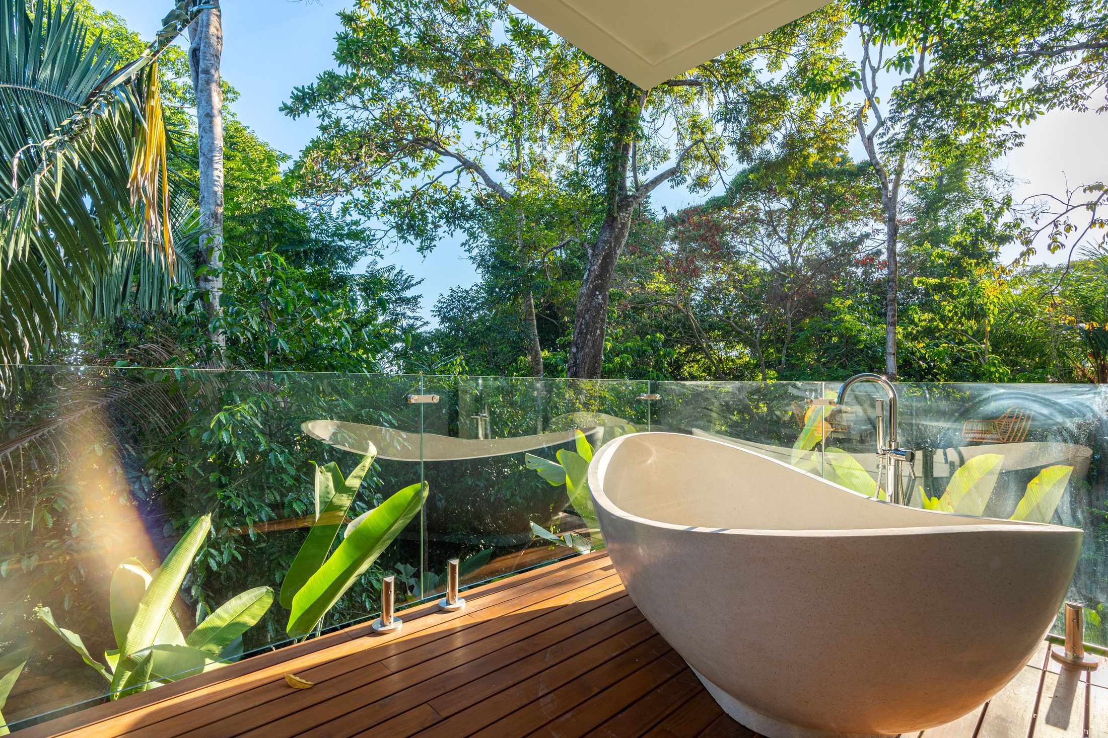 Bathtub framed by the forest